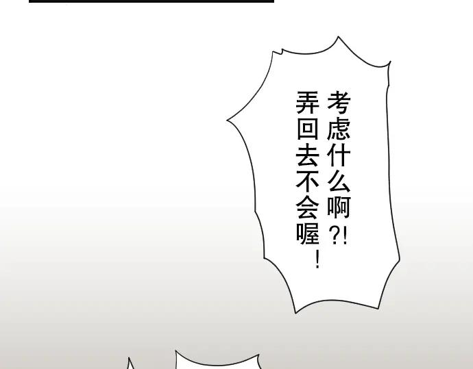 78.jpg