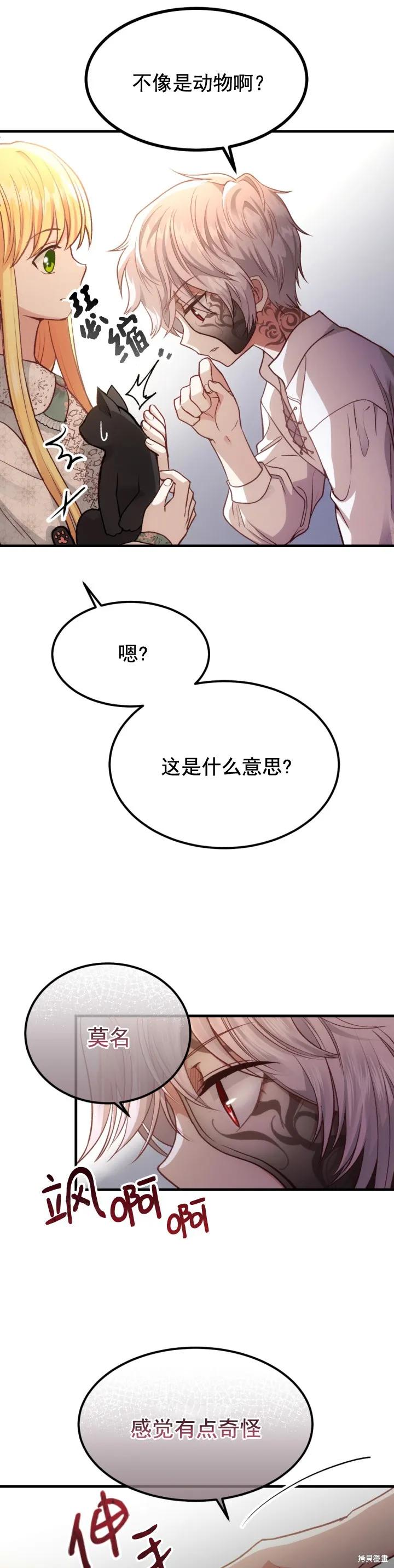 16.jpg