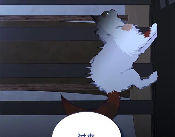 71.jpg