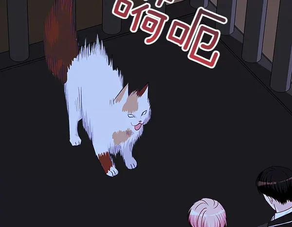 66.jpg
