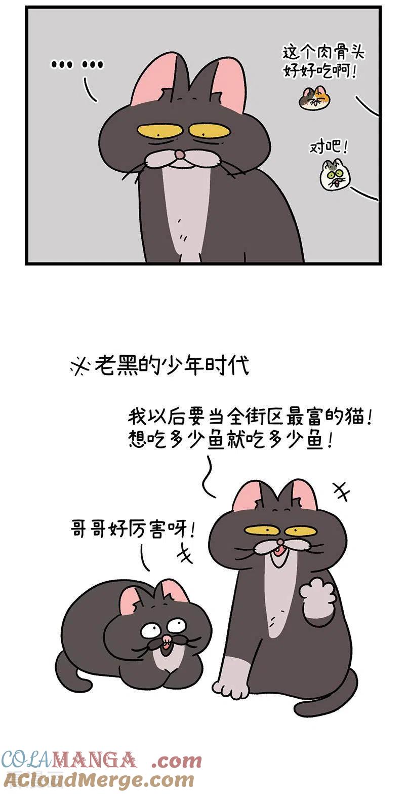番外8下黑亮亮帮的往事-阿满和麦茶-新漫画 日胖大海寺（第5张）