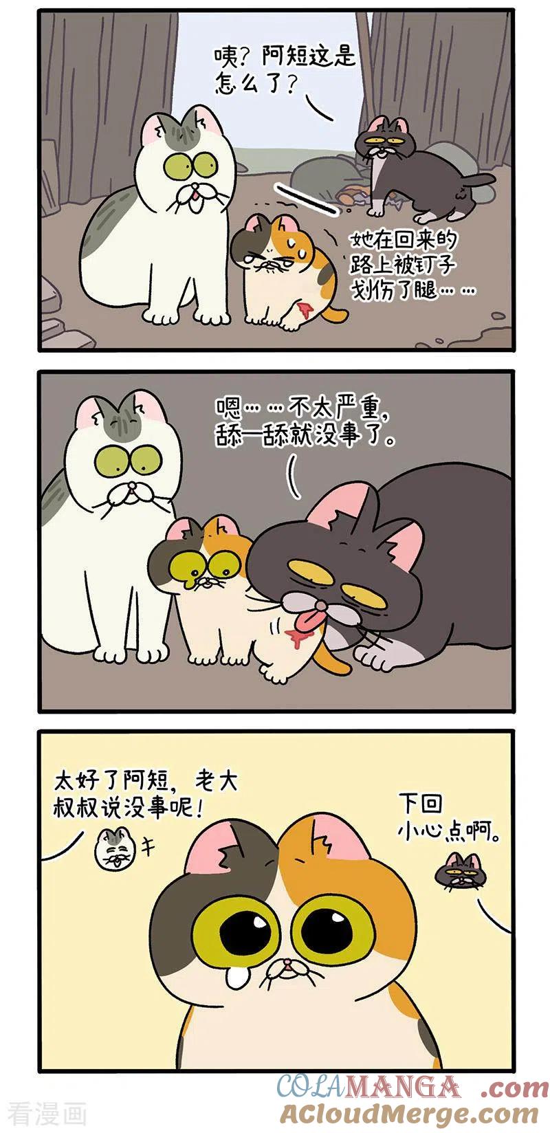 番外8下黑亮亮帮的往事-阿满和麦茶-新漫画 日胖大海寺（第3张）
