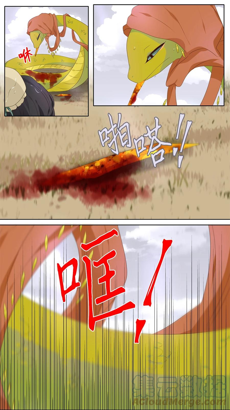 19.jpg