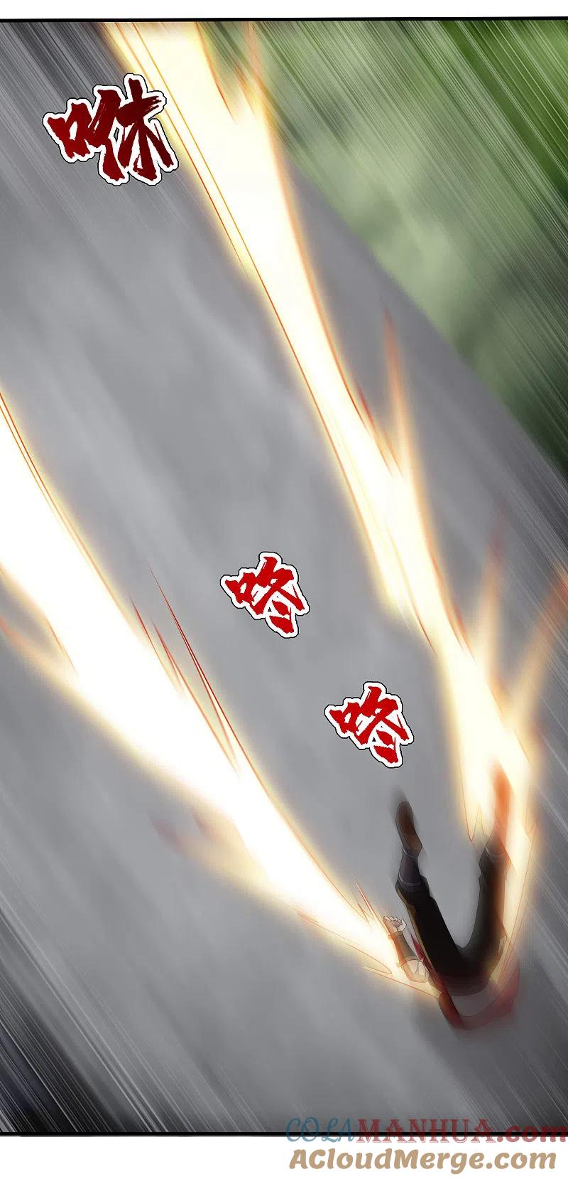 25.jpg