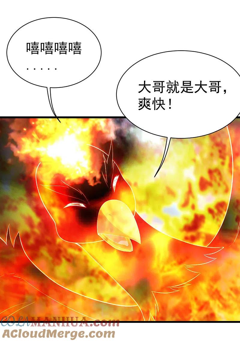 11.jpg