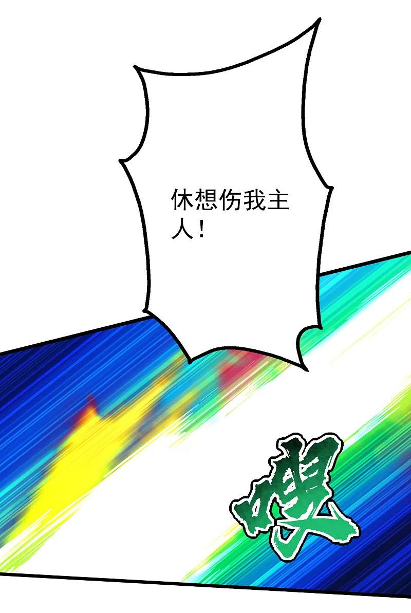 51.jpg