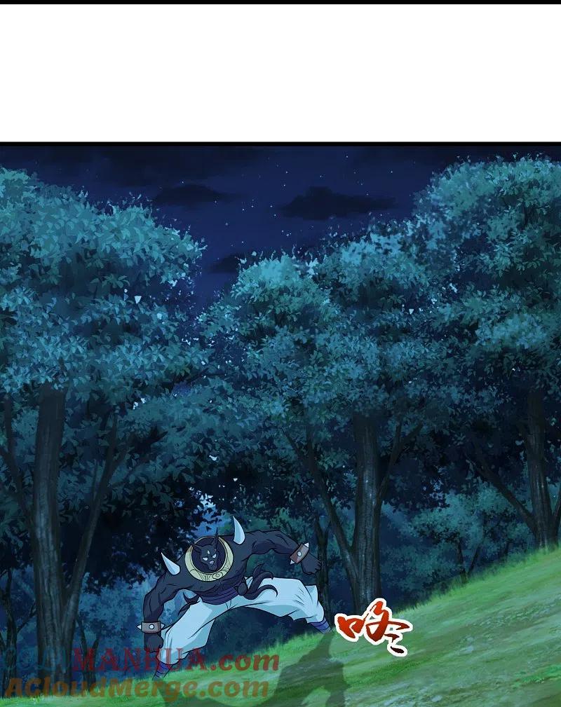 27.jpg