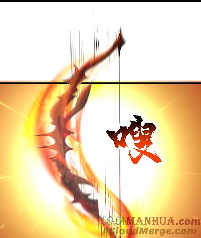 17.jpg