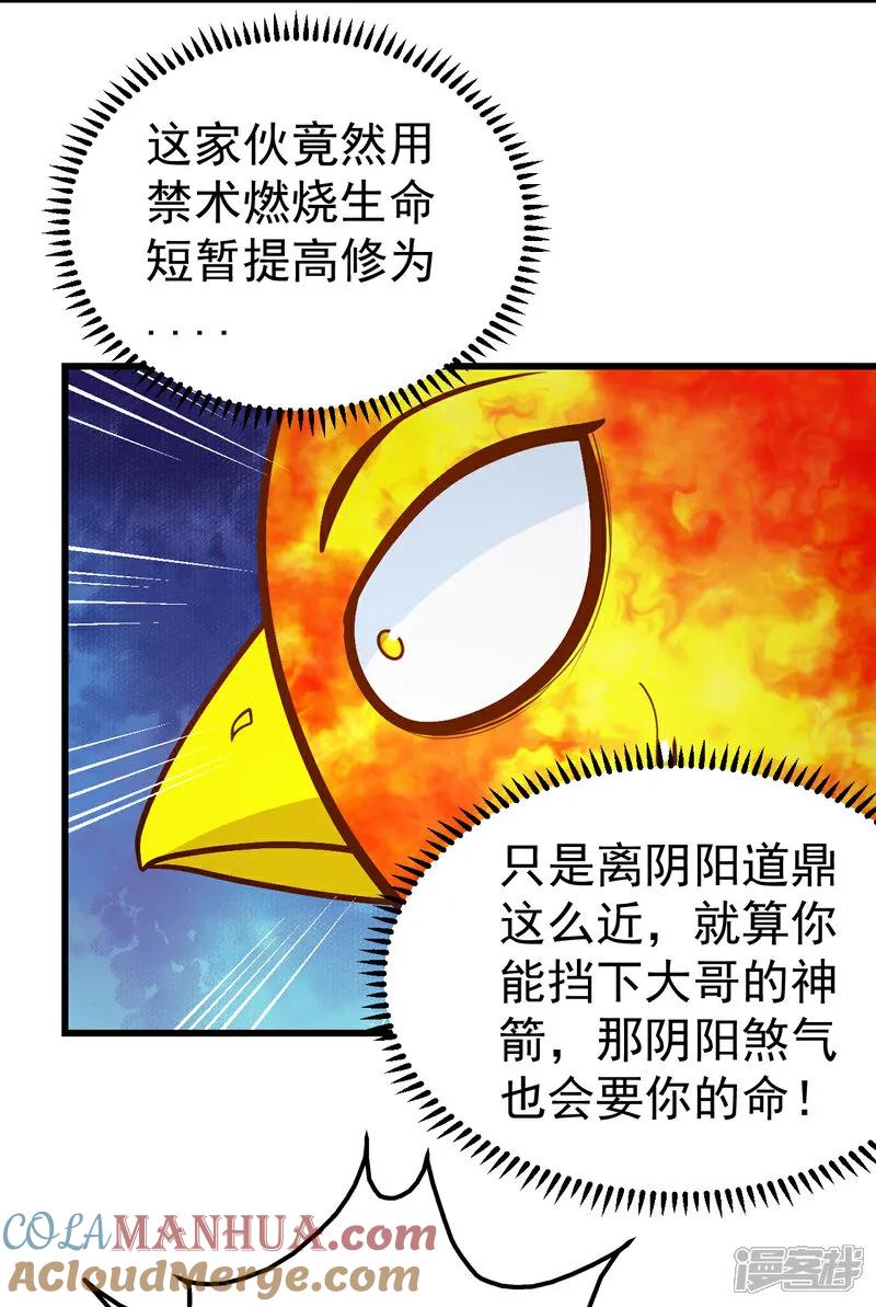 15.jpg