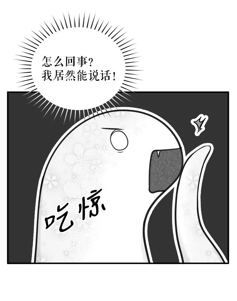 75.jpg