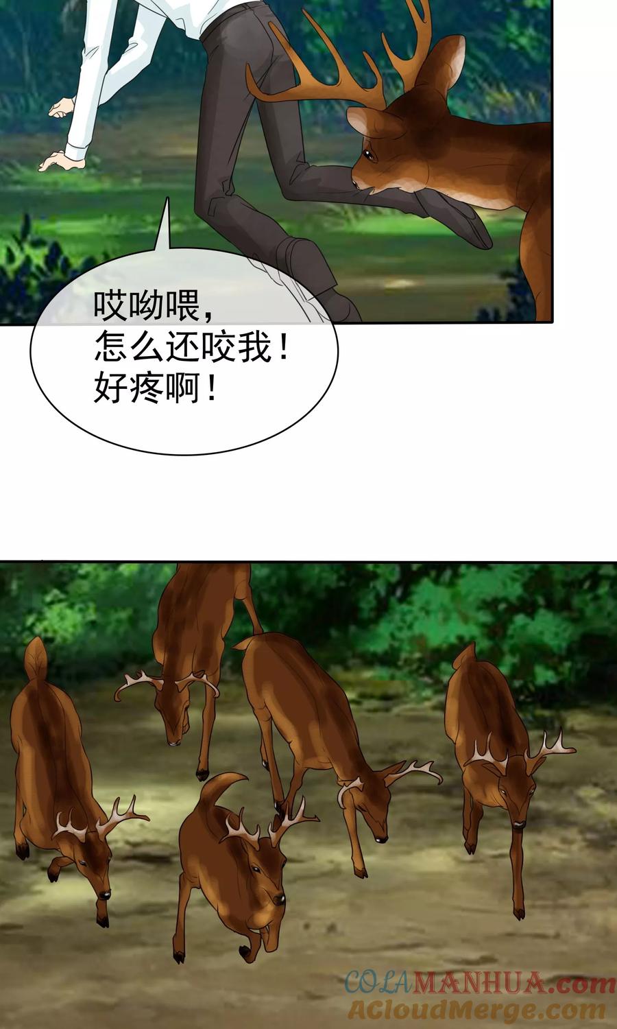 第100话别咬我屁股！-如果从没爱过你-阿柯文化（第8张）