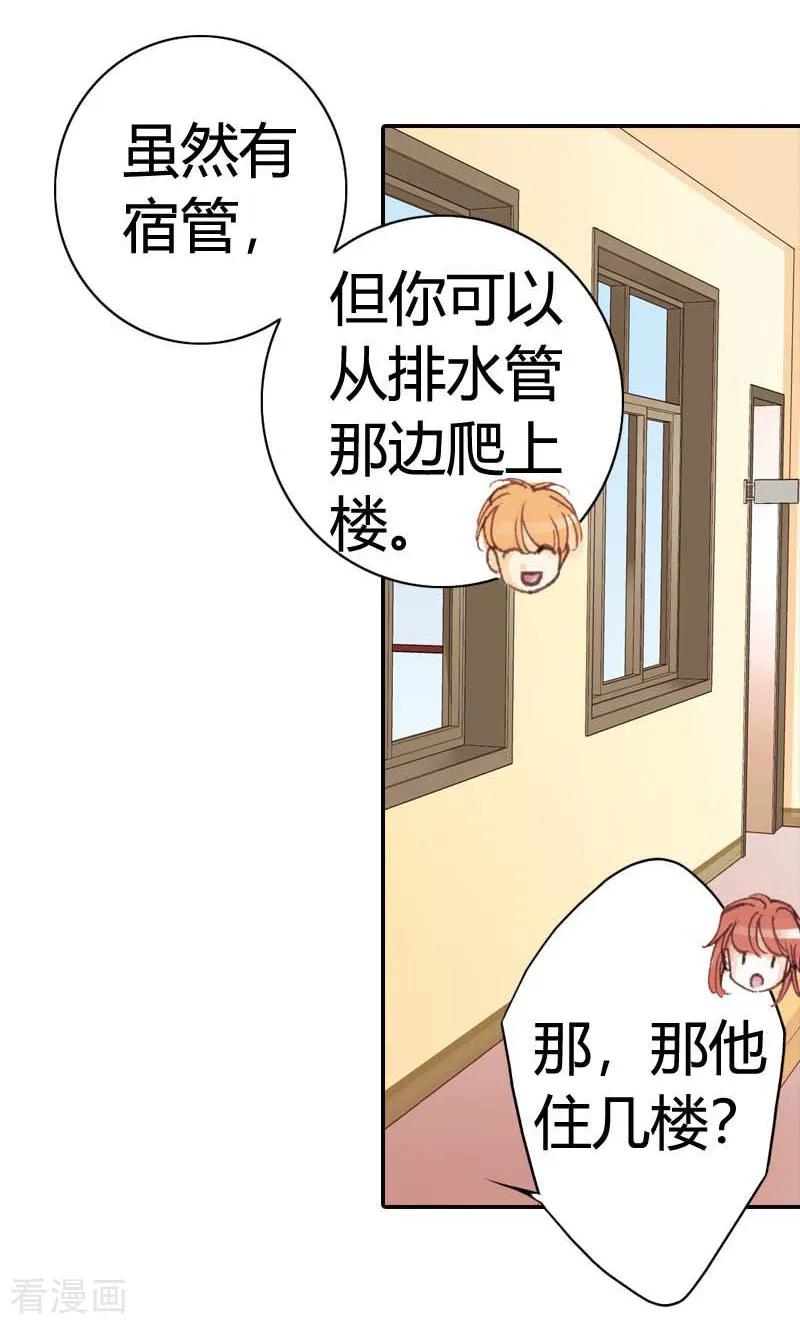 第33话-灰姑娘进化论-左岸卡漫（第10张）