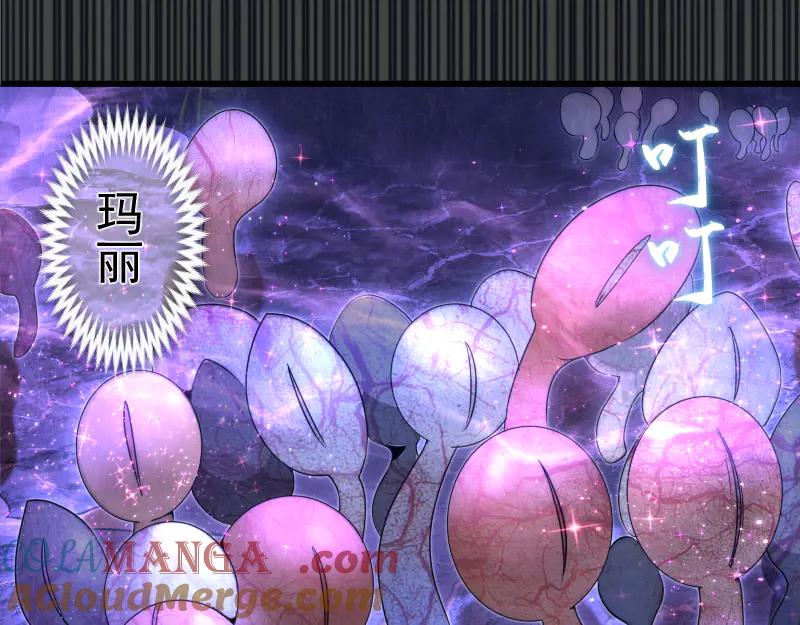 第314话绿洲守护神-高等灵魂-千亮（第5张）