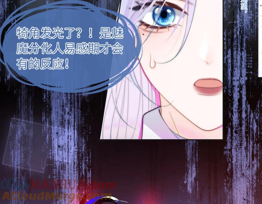 117.jpg