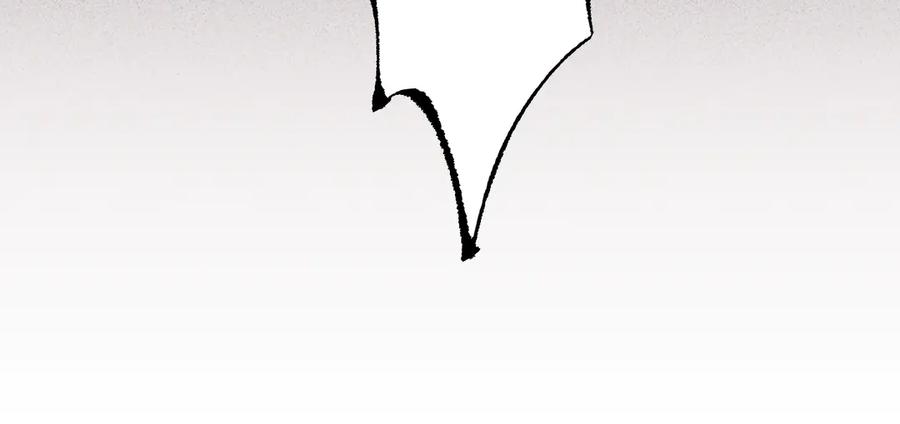 155.jpg