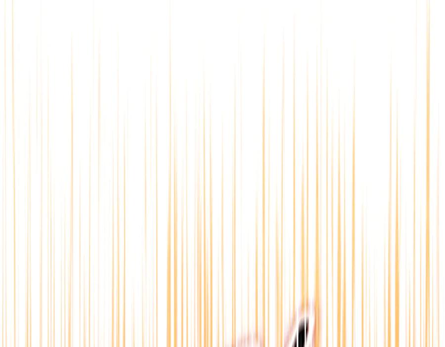 131.jpg