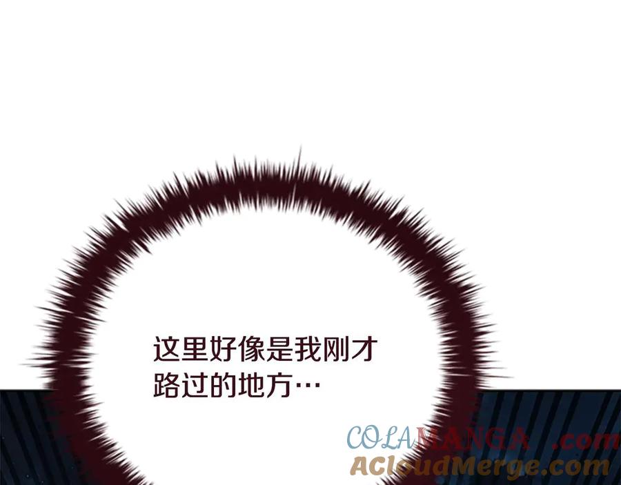 213.jpg