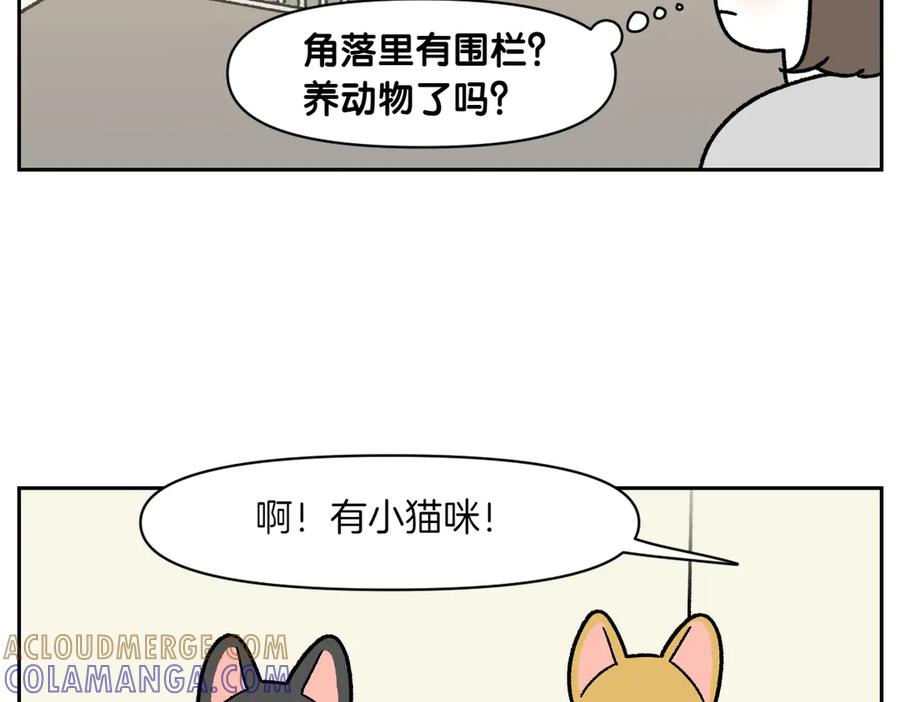 第52话被传染猫癣-我的狗子叫棉花-milo+Polarfox（第6张）