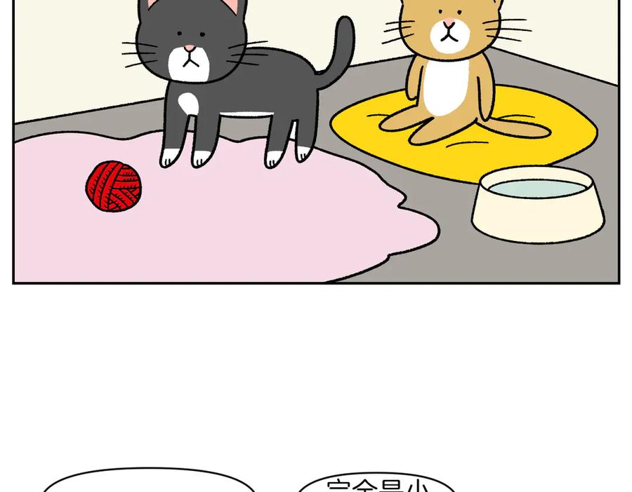 第52话被传染猫癣-我的狗子叫棉花-milo+Polarfox（第7张）