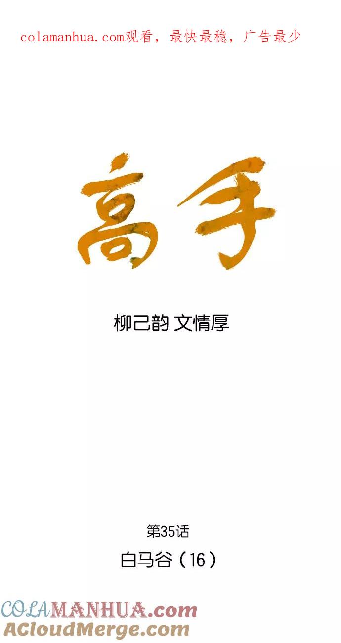 [第35话]白马谷（16）-高手-柳己韵,文情厚（第1张）