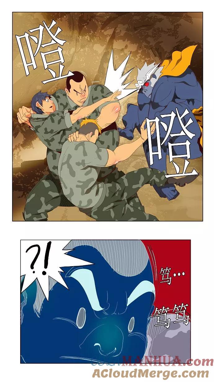 15.jpg