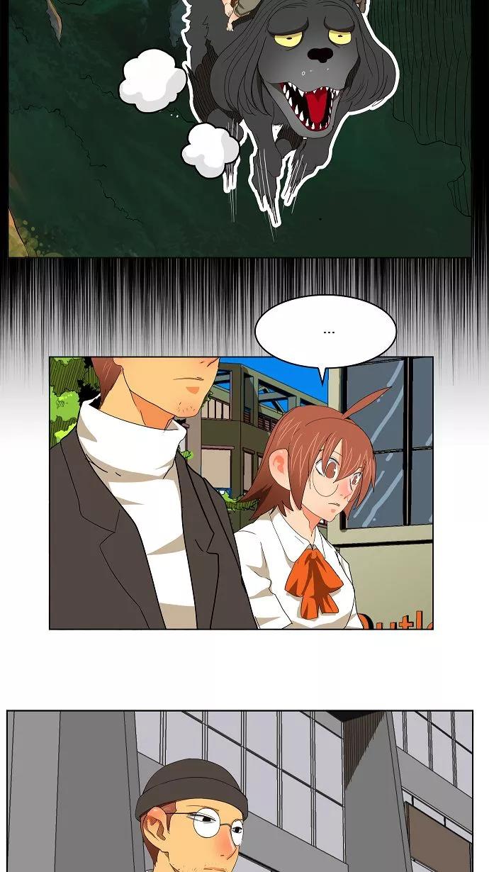 26.jpg