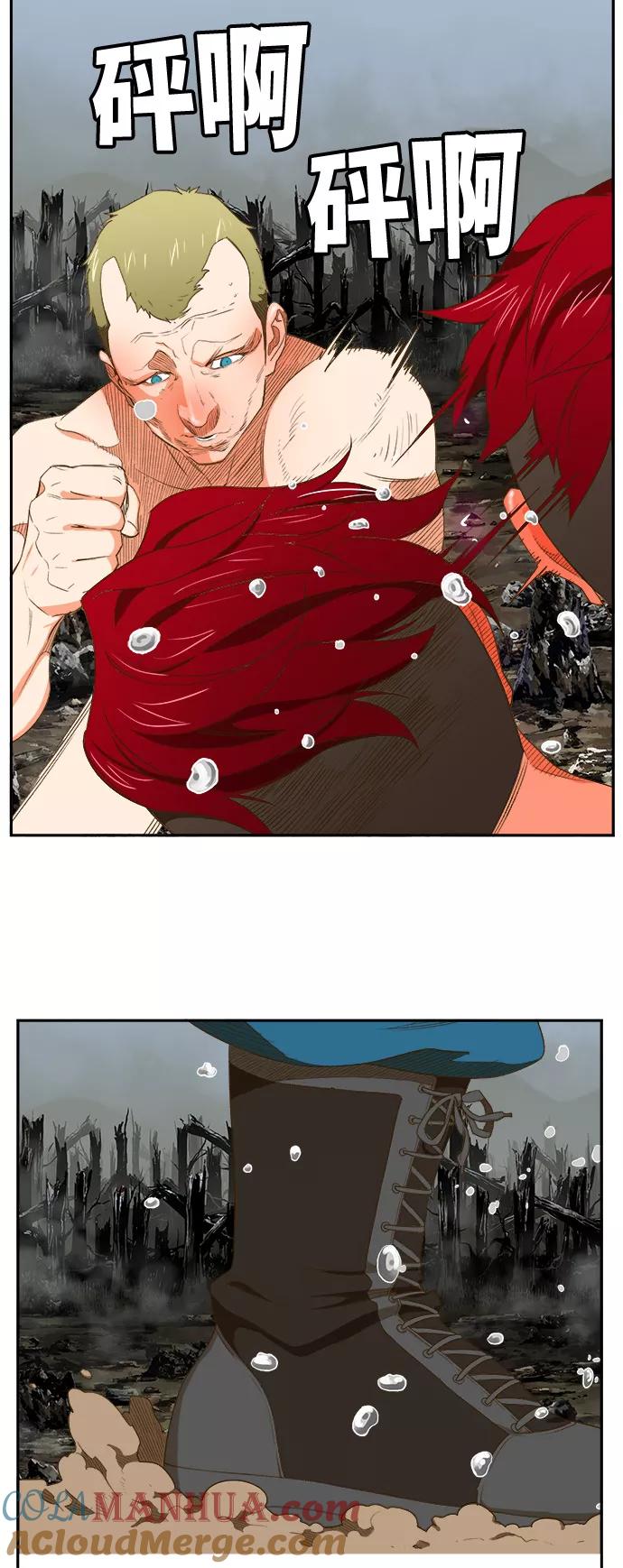 24.jpg