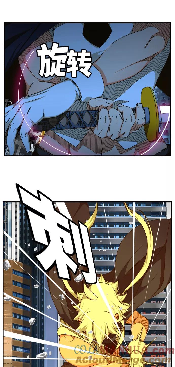43.jpg