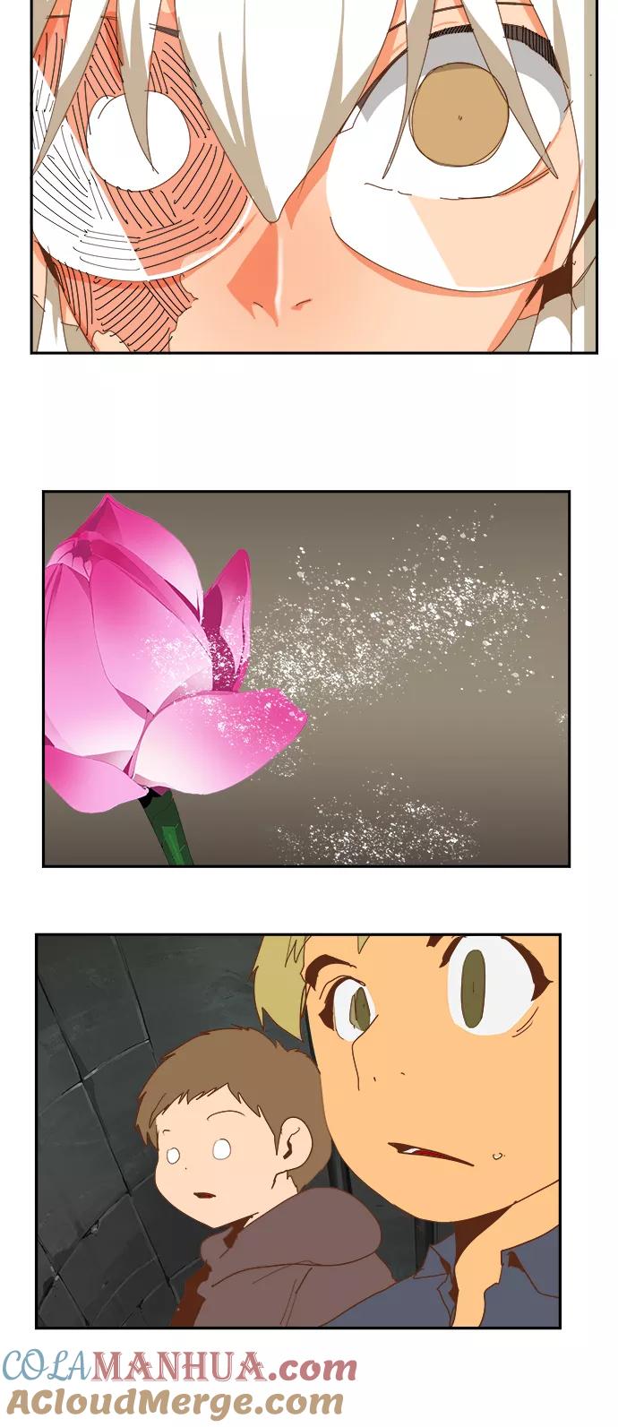 46.jpg