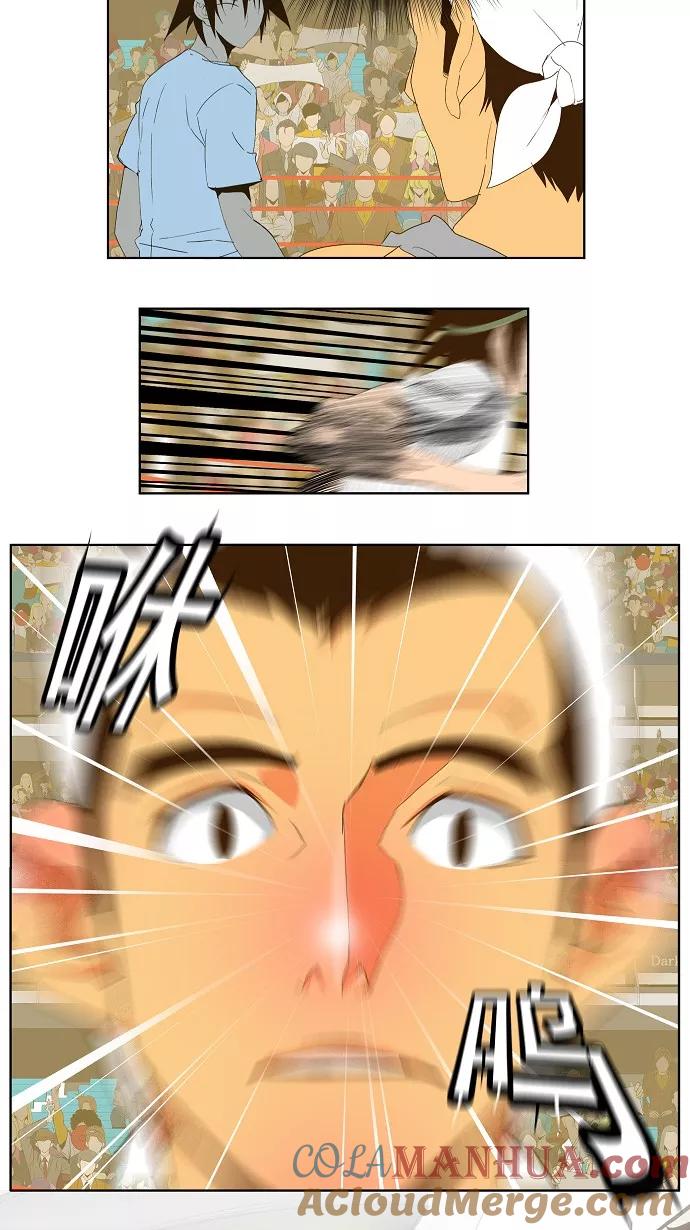 17.jpg