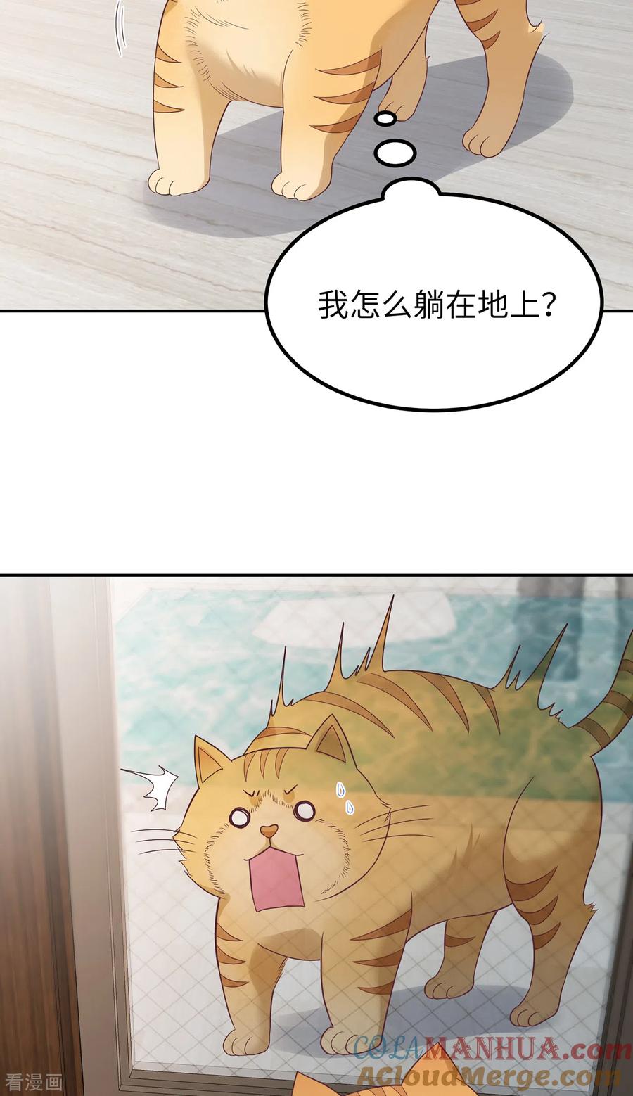 番外3男神变猫-隔壁那个饭桶-三原社（第4张）