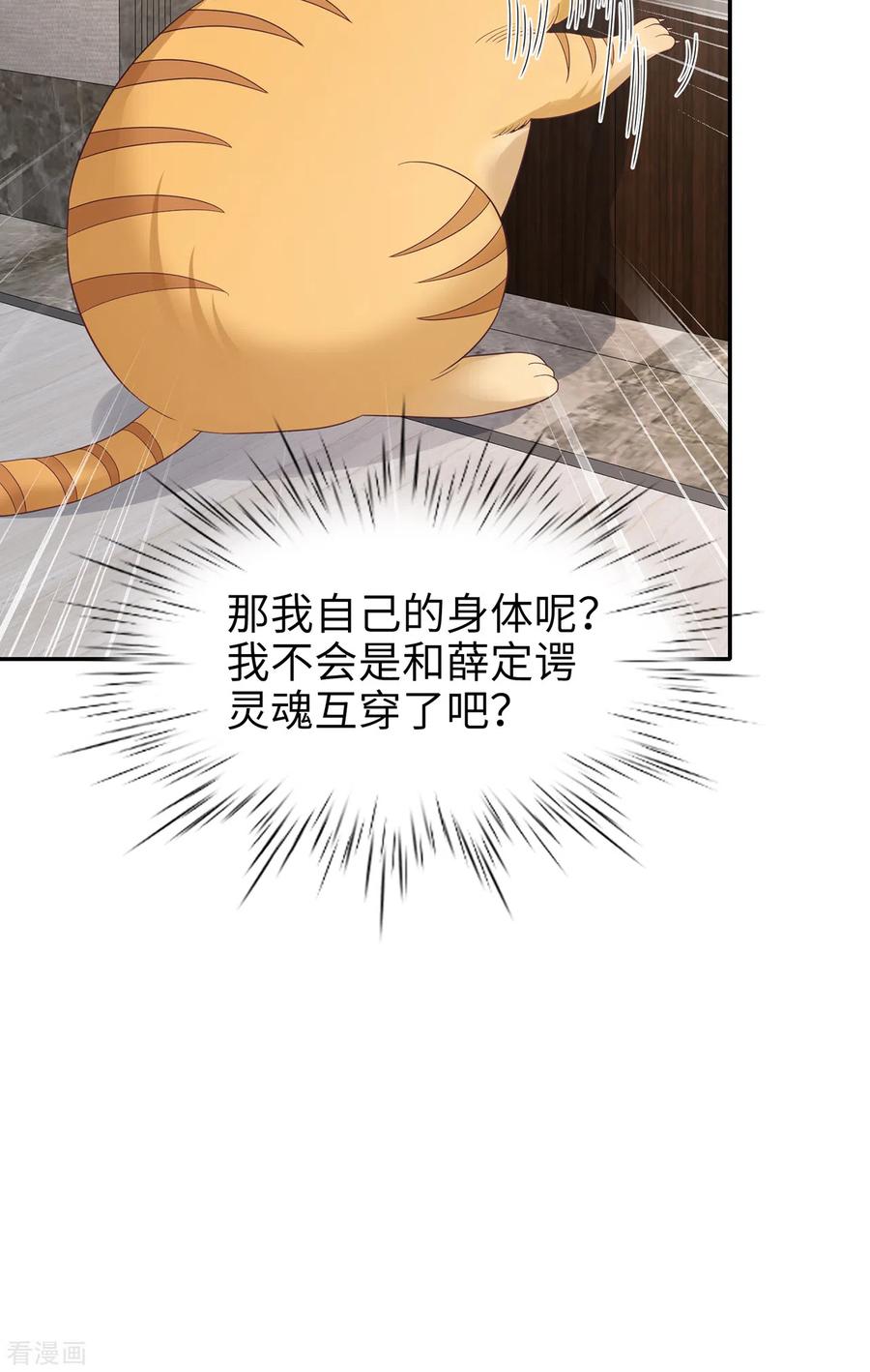番外3男神变猫-隔壁那个饭桶-三原社（第6张）