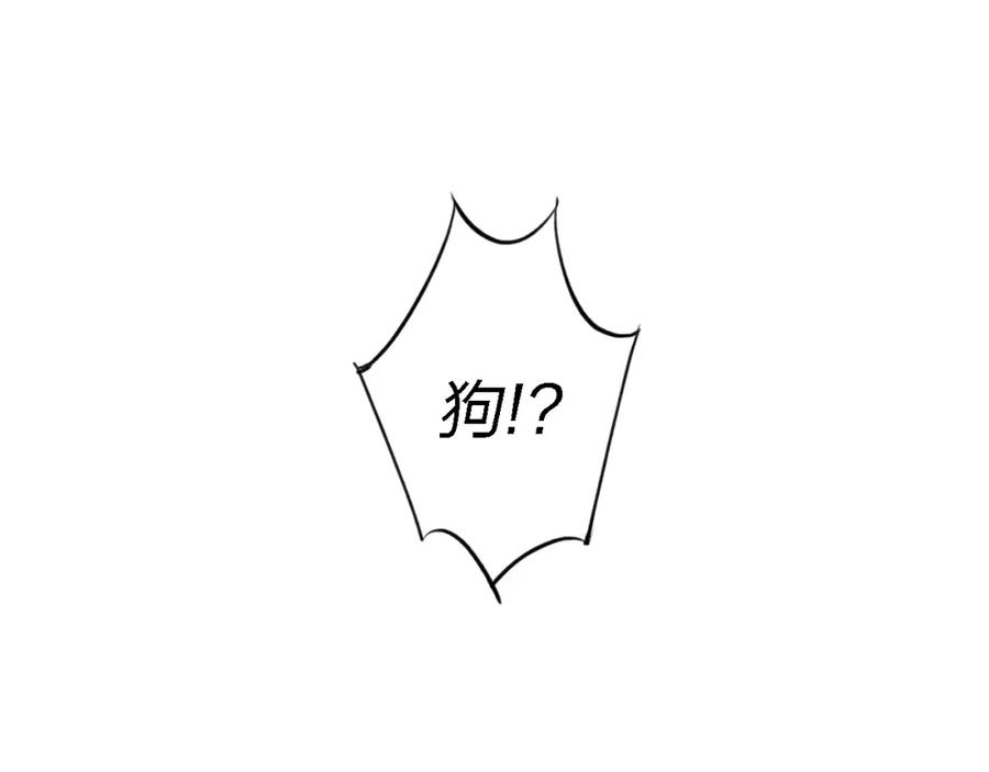 78.jpg