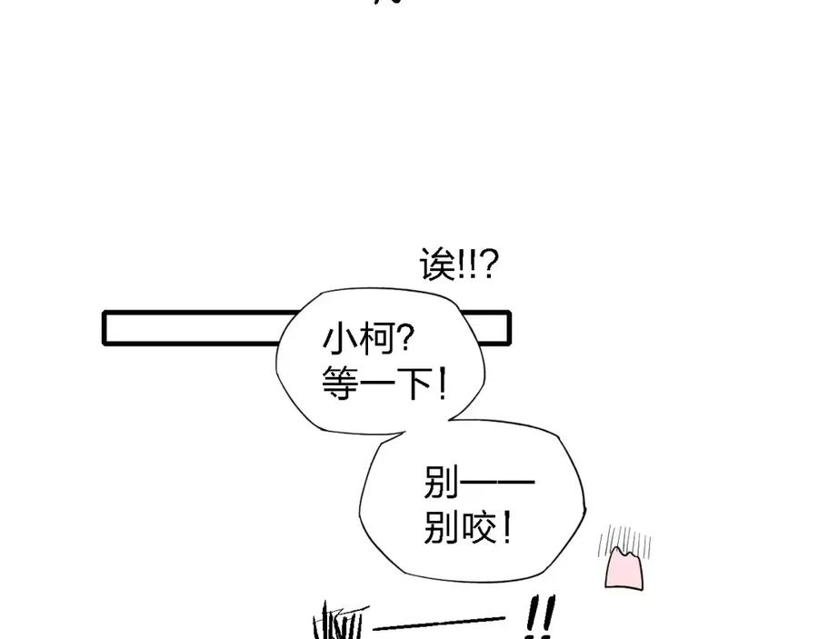 62.jpg