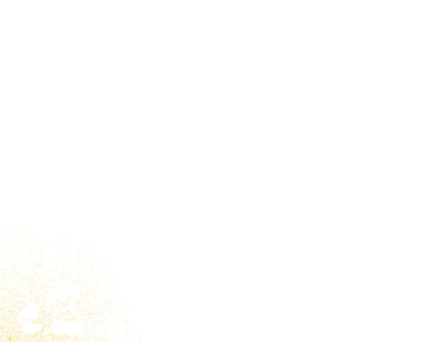 96.jpg