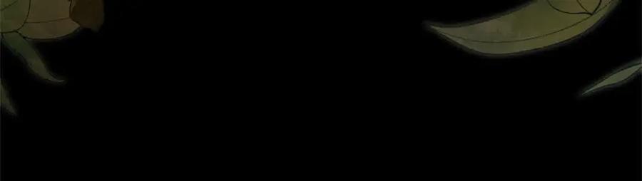 91.jpg