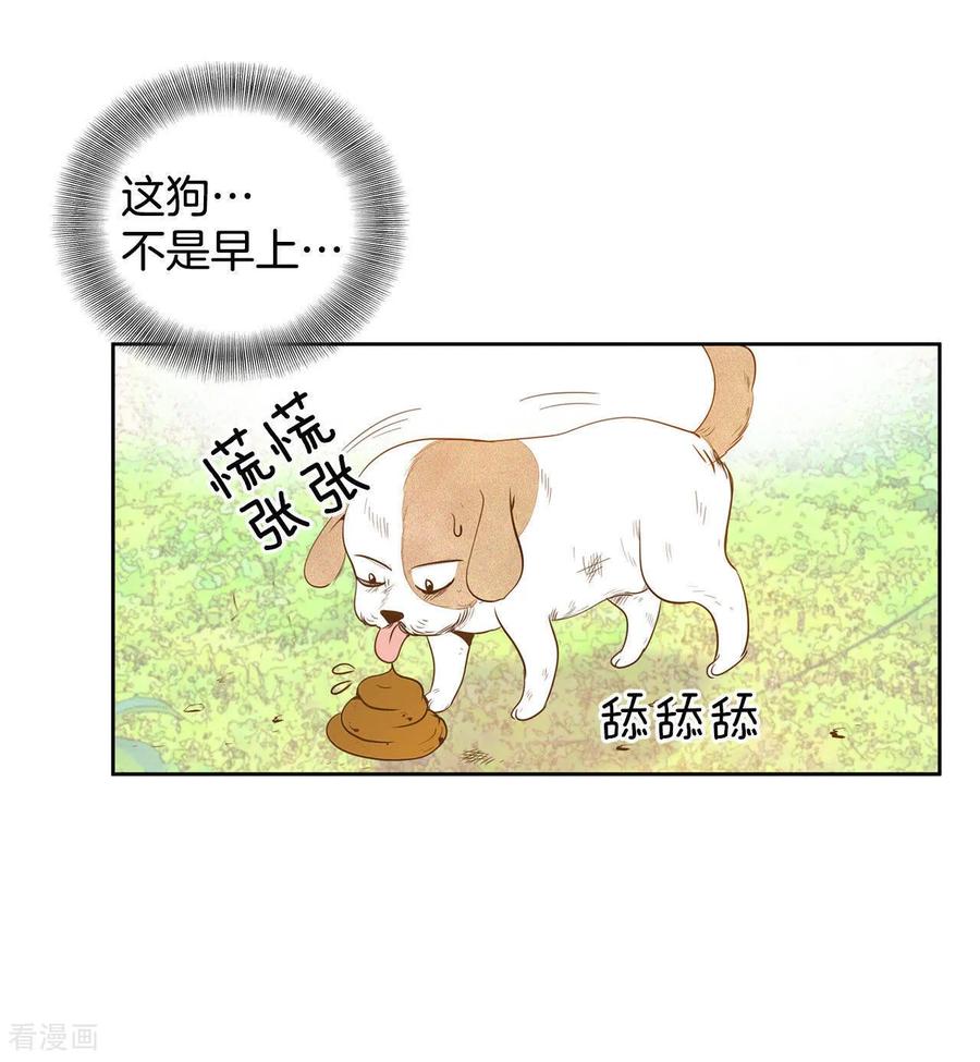 第5话拒绝成为太子妃的女人-宫-爱奇艺漫画（第12张）