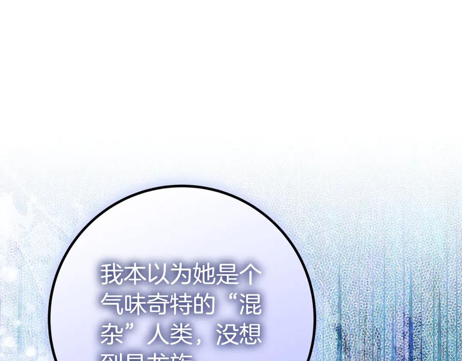96.jpg