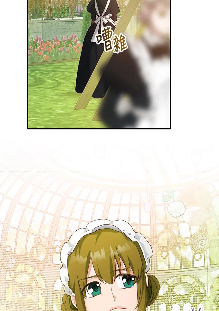 51.jpg