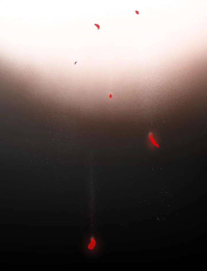 54.jpg