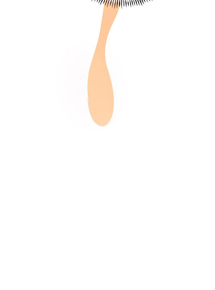 104.jpg