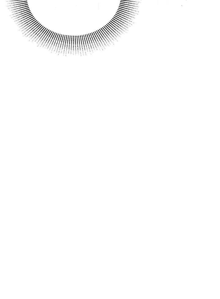 96.jpg