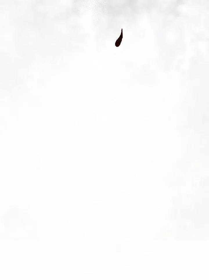 102.jpg