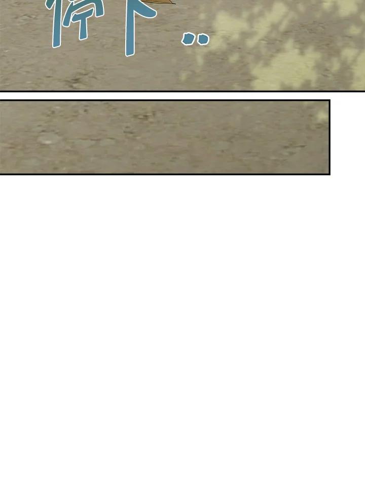 54.jpg