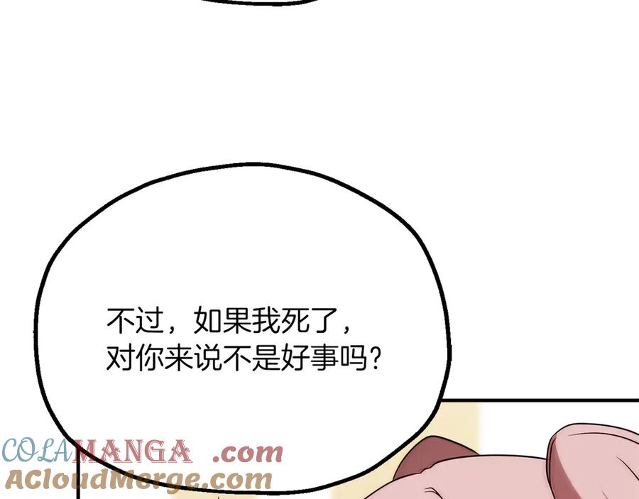 213.jpg
