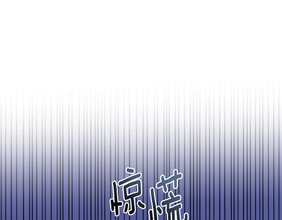 267.jpg