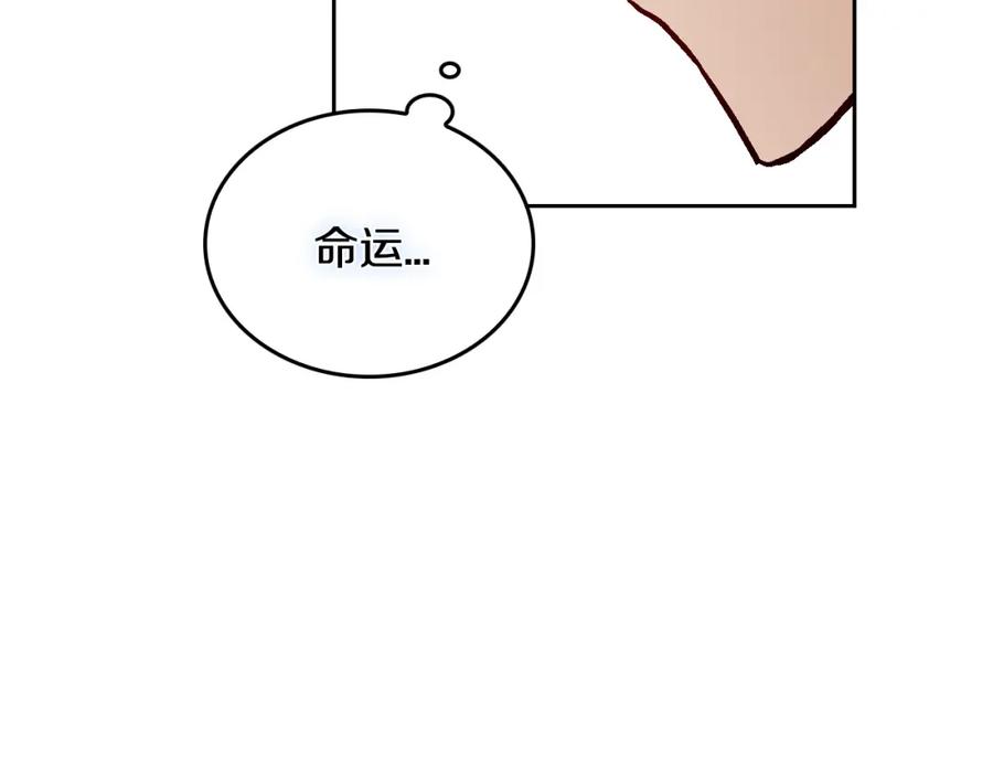 95.jpg