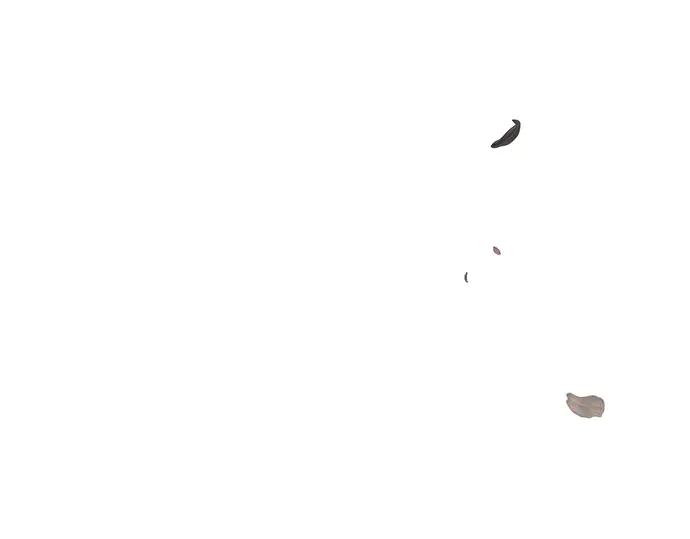 55.jpg