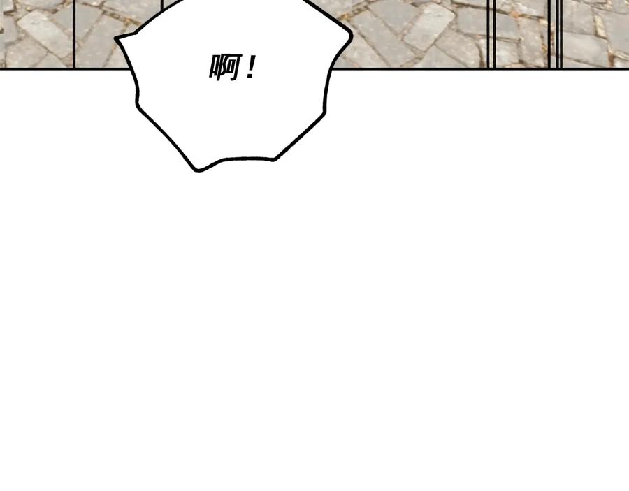 123.jpg