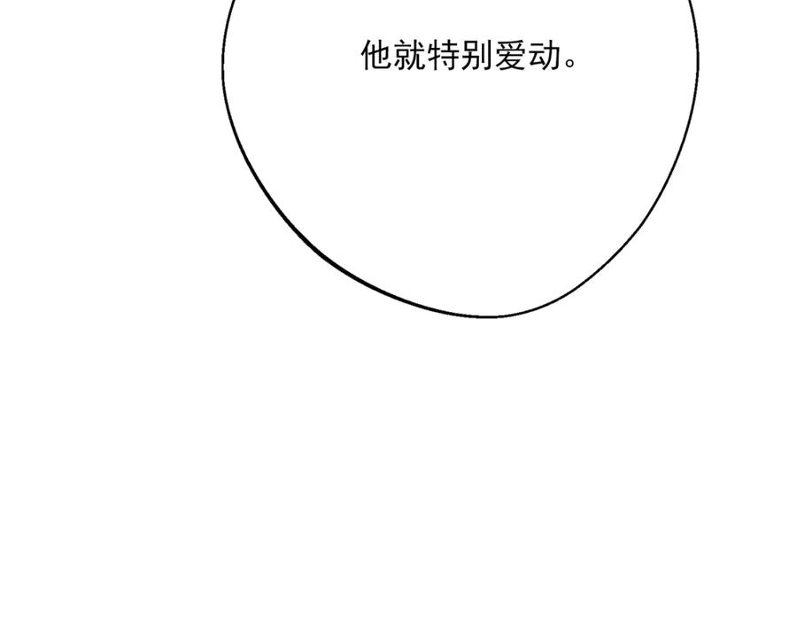 213.jpg